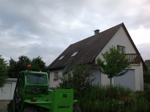 Avant la réalisation d'un chien assis en ossature bois